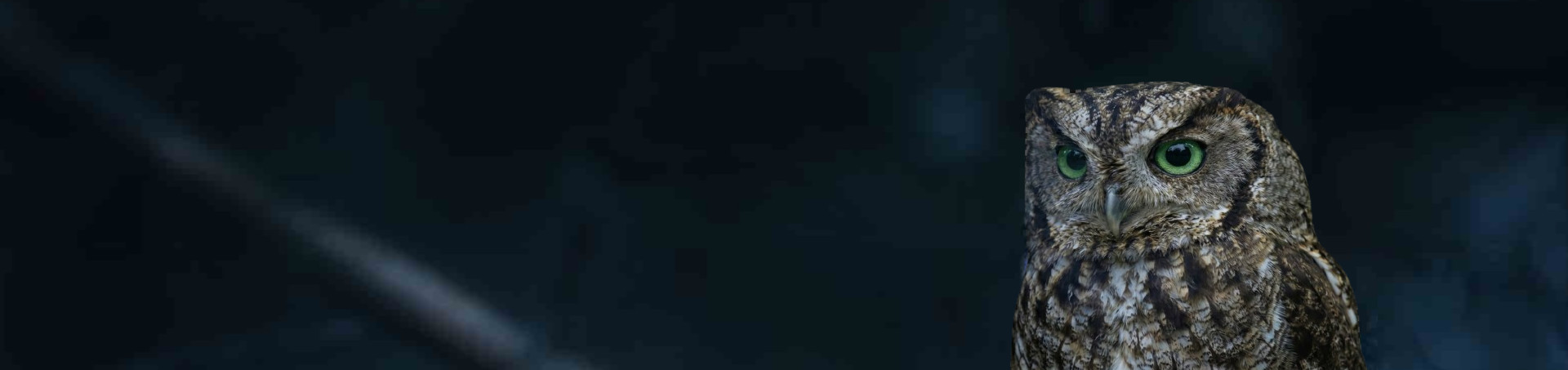 Night vision landscape — USA Night Vision guide