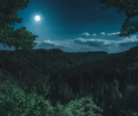 Benefits of Night Vision Scopes