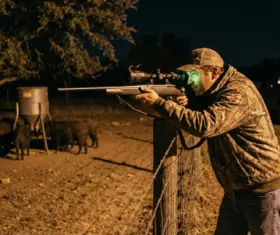 Thermal vs Night Vision for Hog Hunting: What Works Better