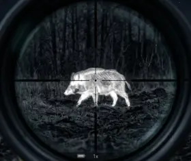 Best Thermal Scopes for Hog Hunting in 2026